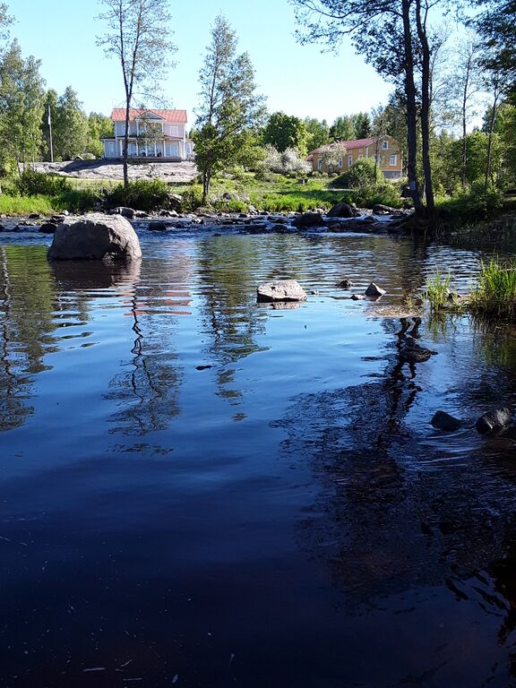 Merikarvianjoen suualue (36.011)-Holmankoski-ObsIMG-201805280951-5.jpg