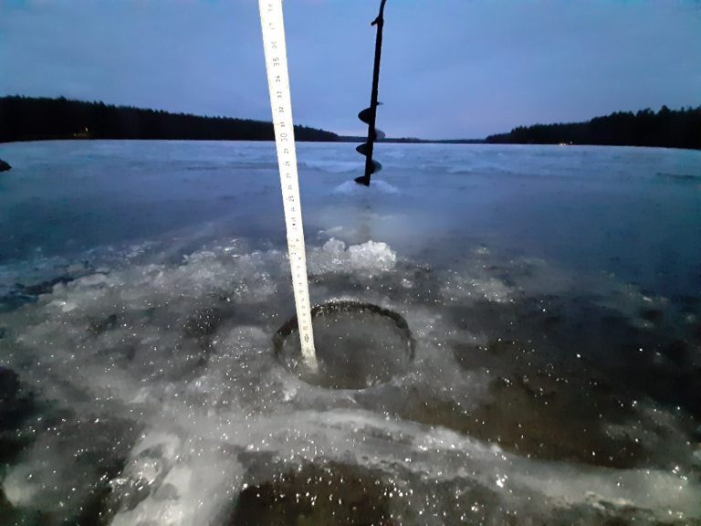 Sääksjärvi (23.097.1.002)-Sääksjärvi-ObsICE-202111291630-61a4f2c0d7115.png