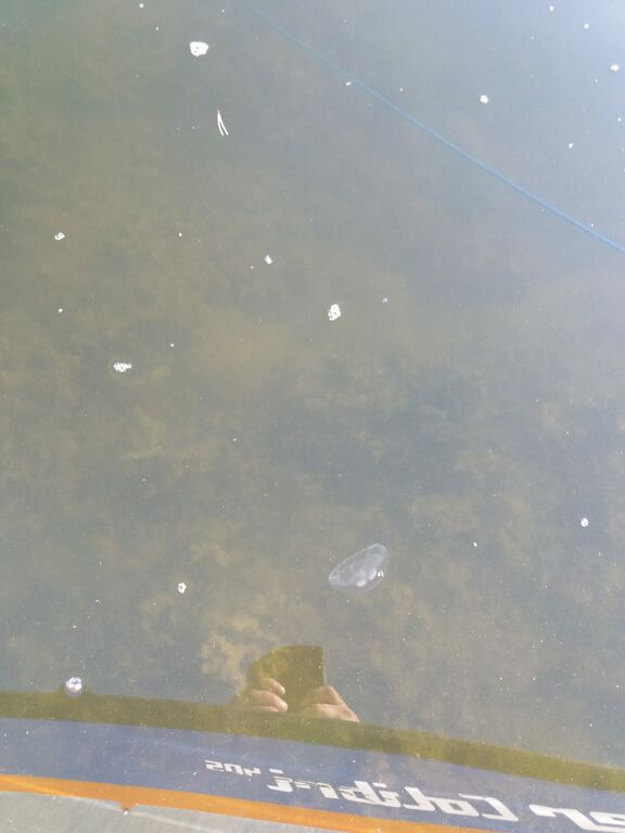 Sipoon saaristo-Havaintopaikka 2-ObsIMG-202010051830-6.jpg