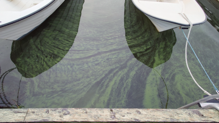 Bergöfjärden-Kyläsaaren venesatama -ObsALG-202508140629-1755177987650.png