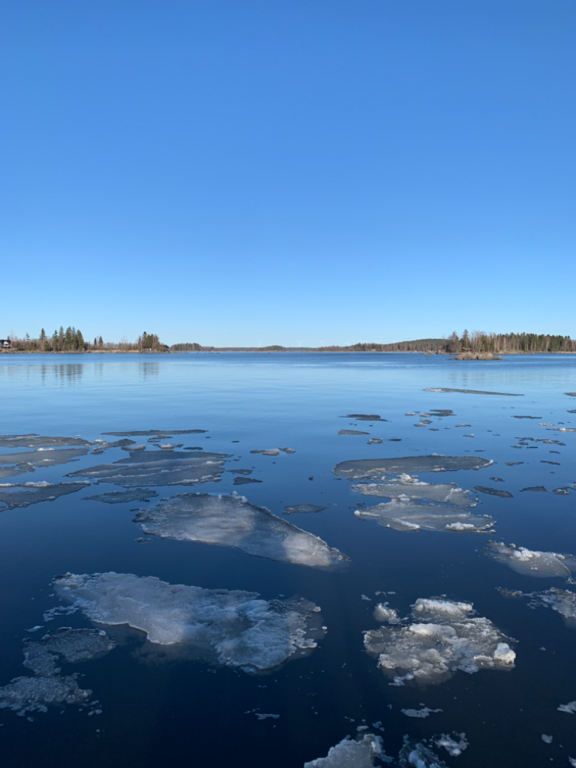 Monåfjärden-Kalotfjärden-Norra Heplotan, itäranta-ObsIMG-202404302017-663127f23a376.png