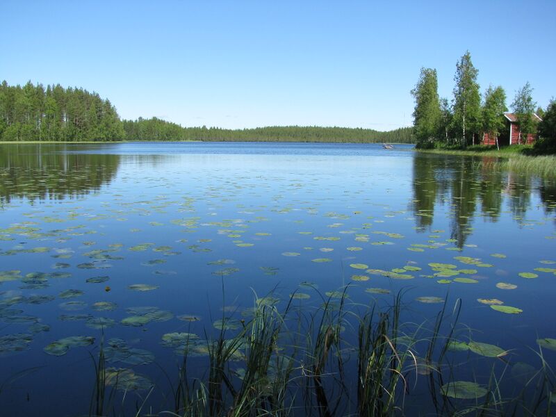 Tiedosto:Niemenjärvi.4321.JPG