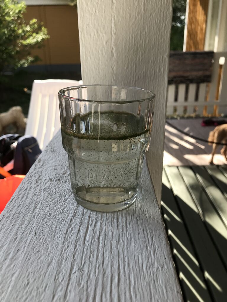 Oulujärvi (yhd.)-Halkoniementie-ObsALG-202006251736-64.jpg