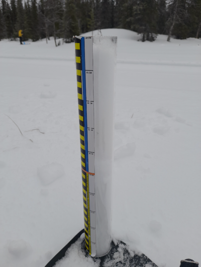 Pallasjärven valuma-alue (65.652)-pallas-ObsSNOW-202603251020-69c39b5df329c.png