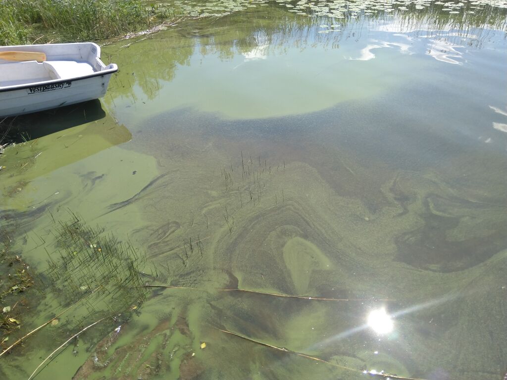 Suuri-Onkamo (04.372.1.001)-Särkilahti-ObsIMG-201906201326-67.jpg