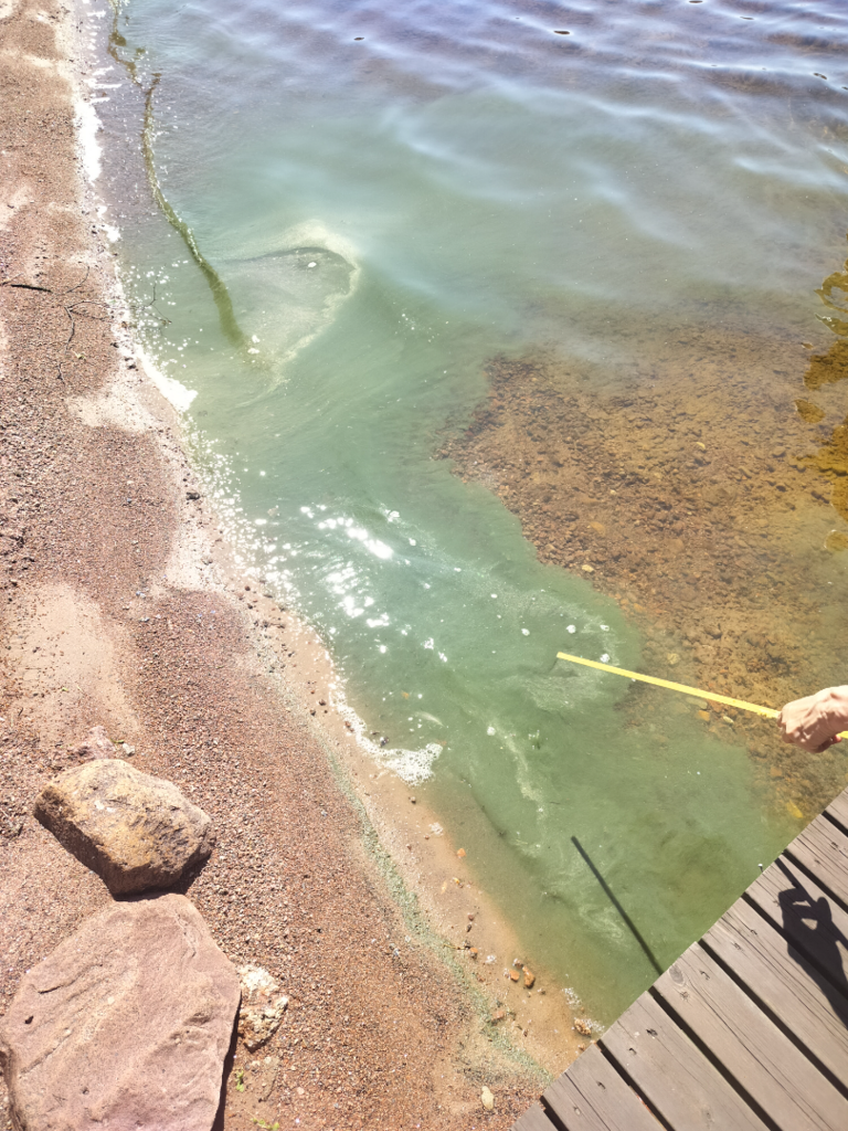 Vuohijärvi (14.912.1.001)-Havaintopaikka 4-ObsIMG-202507021831-1751470568969.png