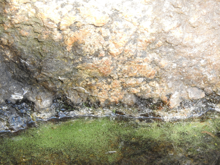 Konnevesi (14.711.1.001)-Rappaatlahti-ObsIMG-202107271200-60fff9c813561.png