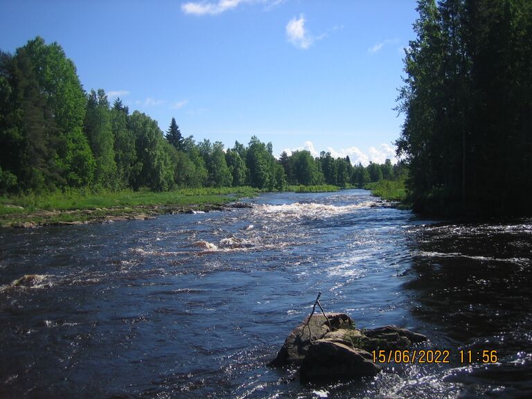 Kupuliskosken pohjoishaara.JPG