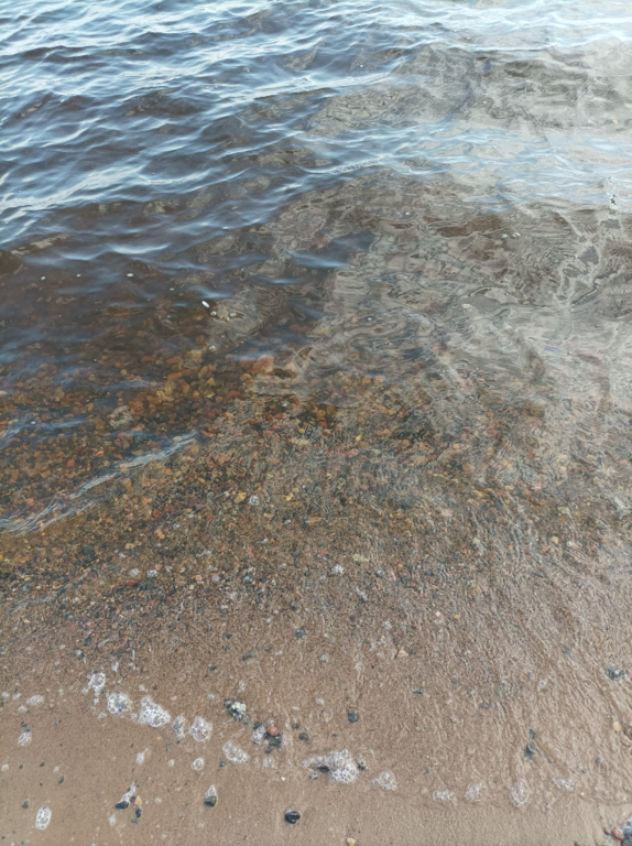 Lappajärvi (47.031.1.001)-Valtakunnallinen sinileväseuranta (Kivitippu)-ObsALG-202108241610-6124f03633ec4.png