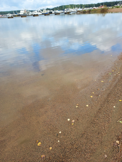 Päijänne (yhd.)-Valtakunnallinen sinileväseuranta (Asikkalanselkä, Kuotaan uimaranta)-ObsIMG-202509161437-1758023725561.png