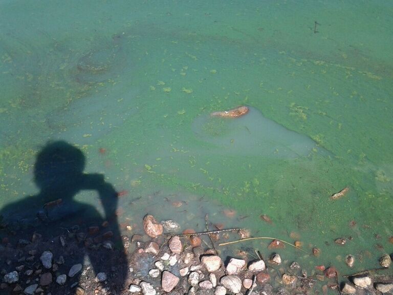 1077809 10151720753580536 327400262 o.jpg