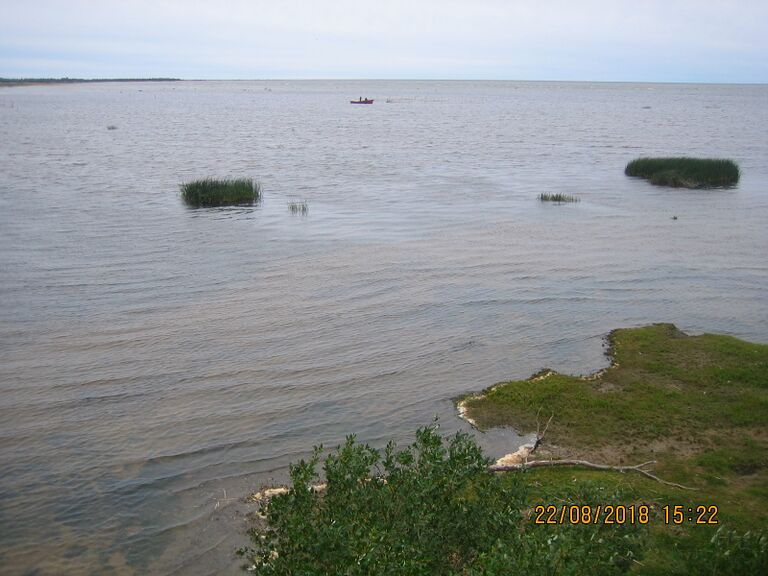 Amman lintutornista.JPG