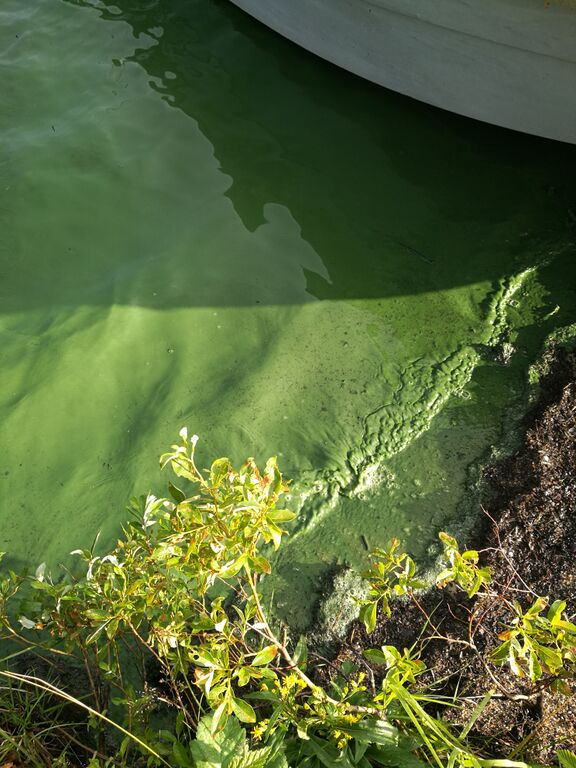 Kelujoen alaosan alue (65.891)-Syväjärvi, Sodankylä-ObsIMG-201807222011-43.jpg