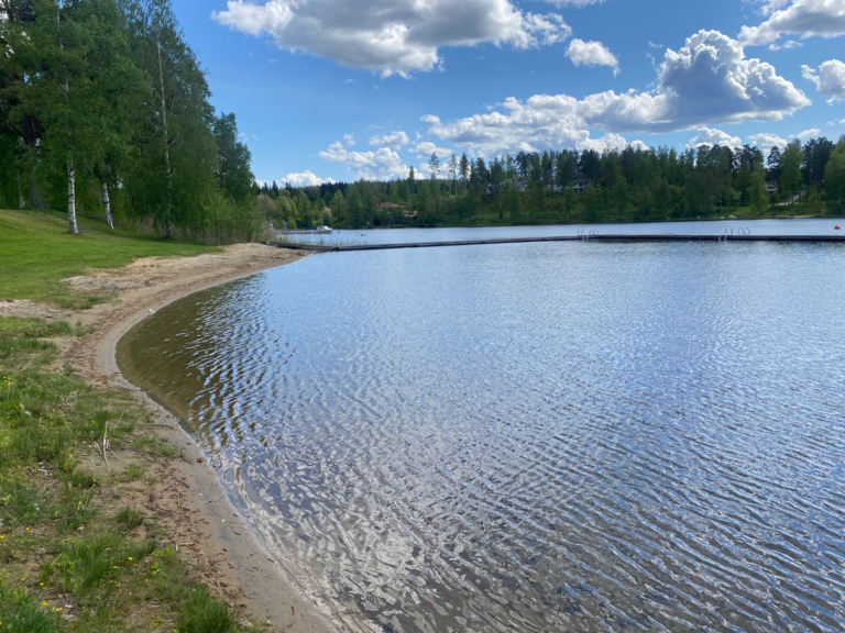 Rautavesi (14.831.1.001)-Valtakunnallinen sinileväseuranta (Angesselkä, Joutsan uimaranta)-ObsALG-202506031510-1749014655403.png