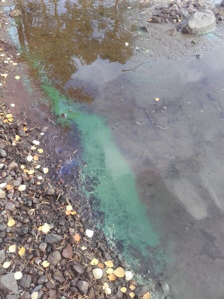 Tiedosto:20180905 080226.jpg