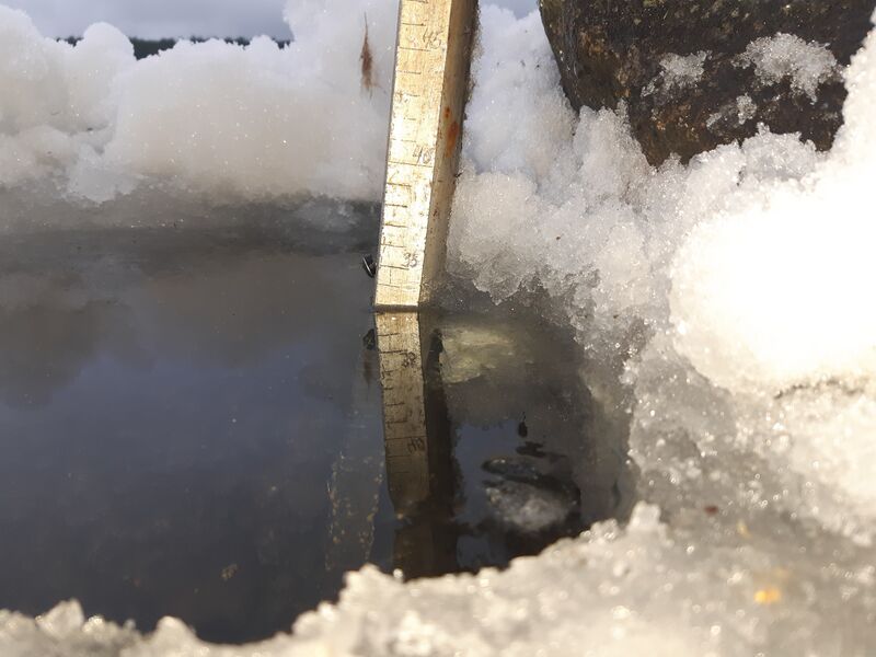 Tiedosto:20230115 142310.jpg