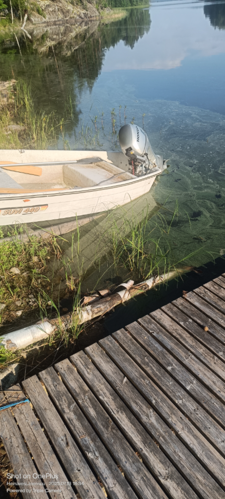 Kermajärvi (04.274.1.014)-Havaintopaikka 1-ObsIMG-202507131830-6873d2103e793.png