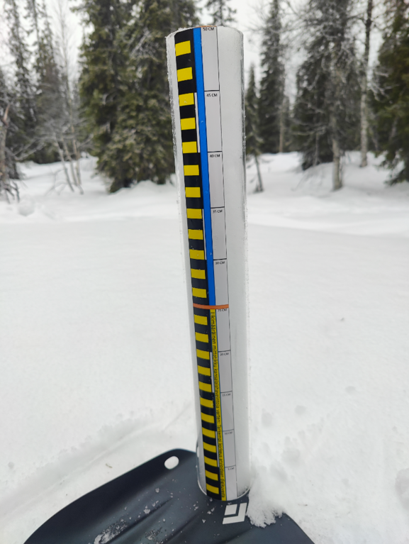 Pallasjärven valuma-alue (65.652)-Pallas-ObsSNOW-202603251029-69c39d4521982.png