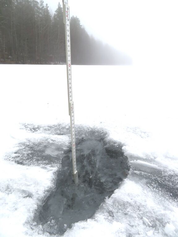 Sääksjärvi (23.097.1.002)-Sääksjärvi-ObsICE-202002081400-18.jpeg