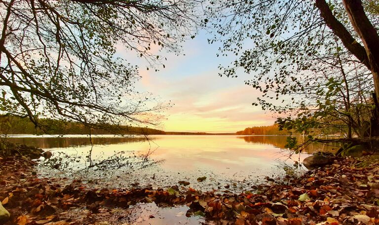 Sääksjärvi (23.097.1.002)-Sääksjärvi-ObsTEMP-202010181730-13.jpeg