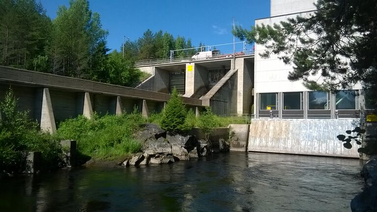 WP 20150706 10 21 24 Pro.jpg