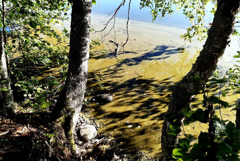 Tiedosto:20200831 065154.jpg