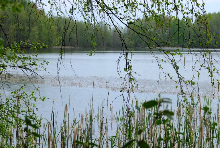 Kirkkojarvi Kangasala.jpg