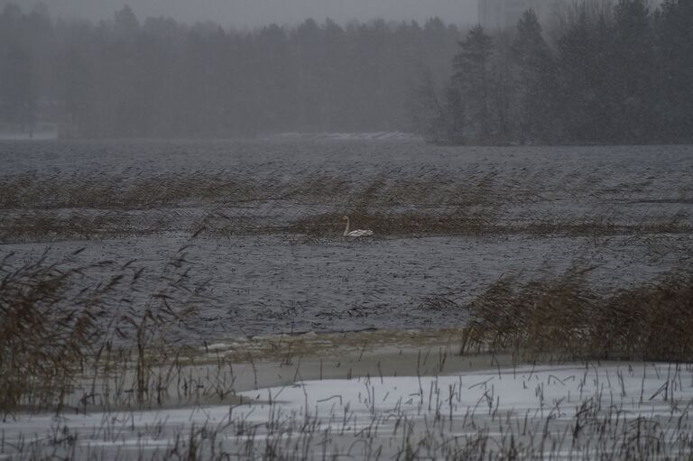 Palokkajärvi (14.291.1.001)-Havaintopaikka 1-ObsICE-201611271823-72.jpg
