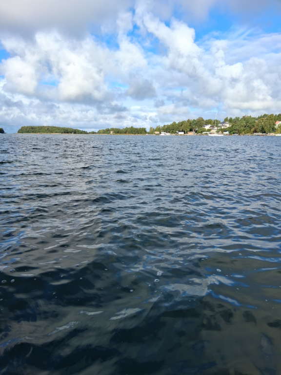 Rauman edusta-Valtakunnallinen sinileväseuranta (Syväraumanlahti)-ObsIMG-202509171053-1758096048982.png