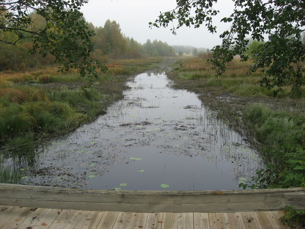 Saviniemensalmi IMG 9240.JPG