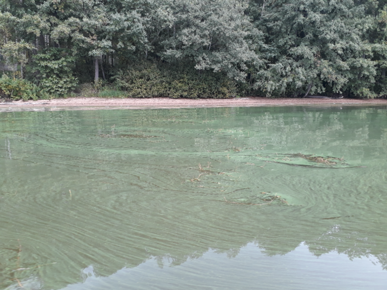 Hiidenvesi (23.031.1.001)-Puumanni-ObsALG-202109111633-613e02d788361.png