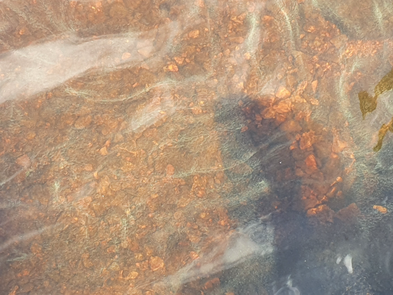 Ähtärinjärvi (35.433.1.001)-Ulappaniemi-ObsIMG-202107131544-60ed8bc2a25a5.png