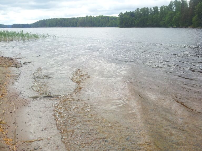 Haltia ranta kaakkoon.jpg