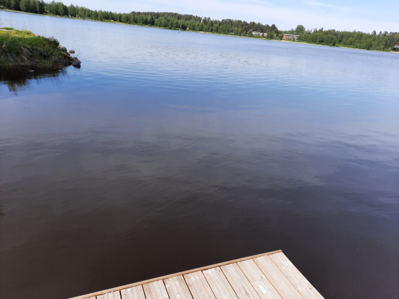 Tiedosto:Haukivesi (Saimaa) (04.211.1.001)-Valtakunnallinen sinileväseuranta (Pieni Raudanvesi)-ObsALG-202306131505-64885e95346dc.png