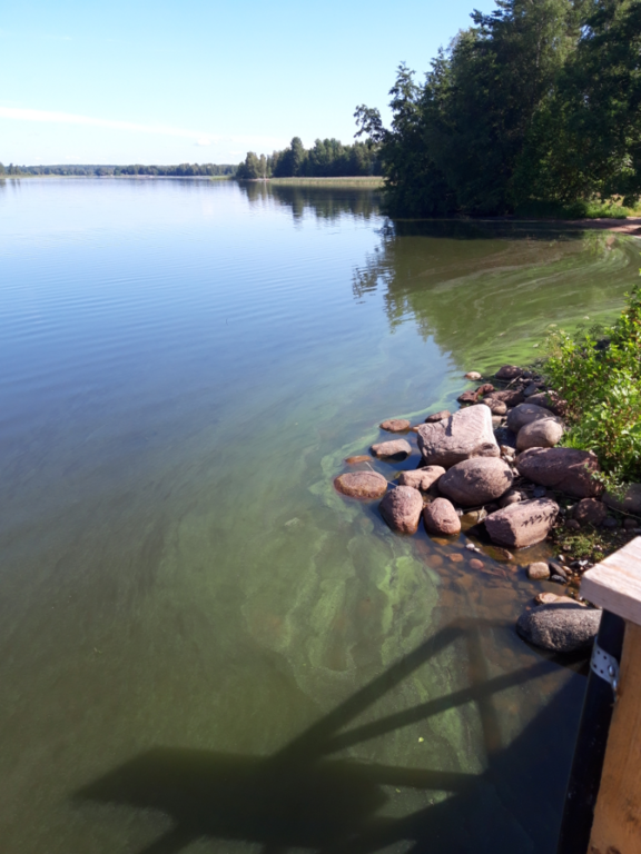 Köyliönjärvi (34.054.1.001)-Valtakunnallinen sinileväseuranta (Yttilän Otta)-ObsALG-202107131243-60ed60c06b448.png