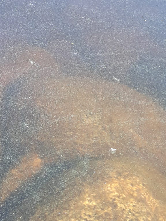 Päijänne (yhd.)-Havaintopaikka 9-ObsALG-202107260750-60ff91d10c03a.png