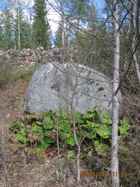 Tiedosto:Rakkaudenhauta 005.JPG