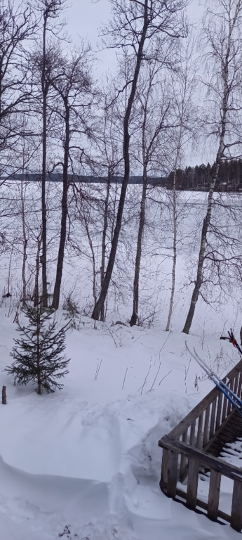 Saimaa (04.112.1.001)-Rotarien sinileväseuranta (Pulkkaselkä, Hietalahti)-ObsIMG-202403201402-65fad09798307.png