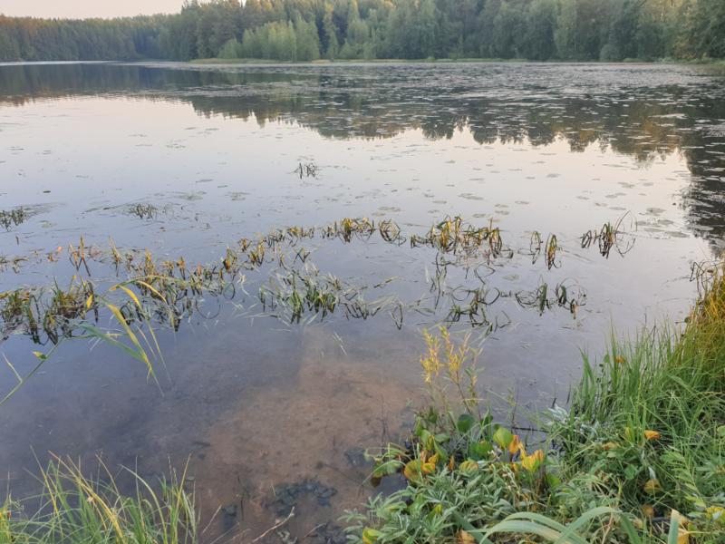 Tiedosto:Urpolanlampi (04.152.1.001)-Uusi hulevesiputki-ObsIMG-202409051912-66d9e30bcb845.png