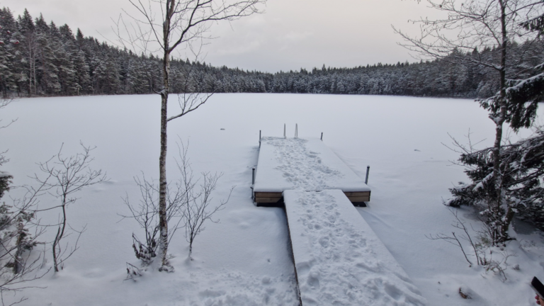 Ahvenalampi (23.025.1.002)-Laavu-ObsICE-202501031205-6777b690e8fe8.png