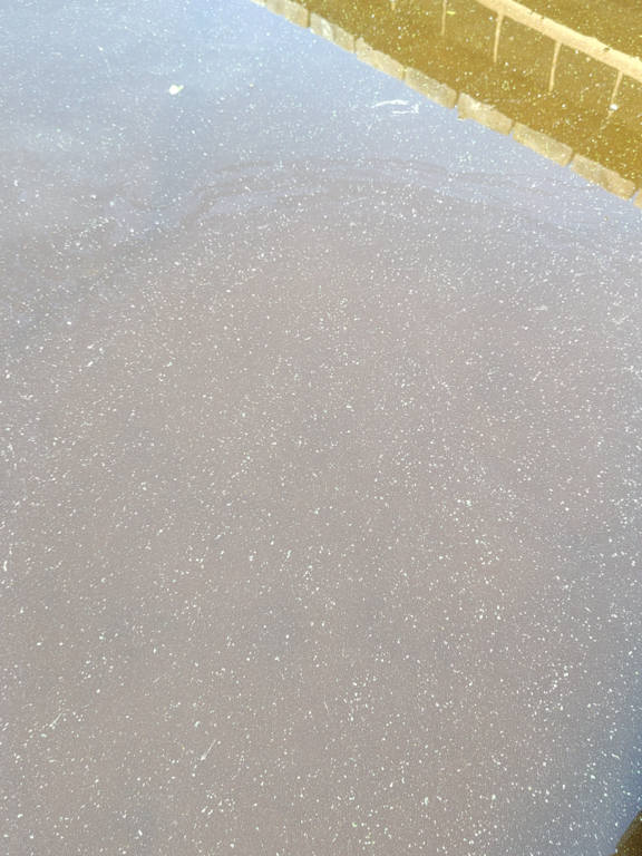 Alasjärvi (35.214.1.004)-Alasjärven uimaranta-ObsIMG-202507021150-6864f317d764b.png