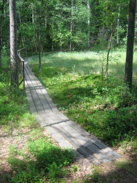 Tiedosto:Bisajärvi 2.JPG