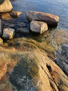 Keipsalo/Rotarien sinileväseuranta (Stora Småholmen)