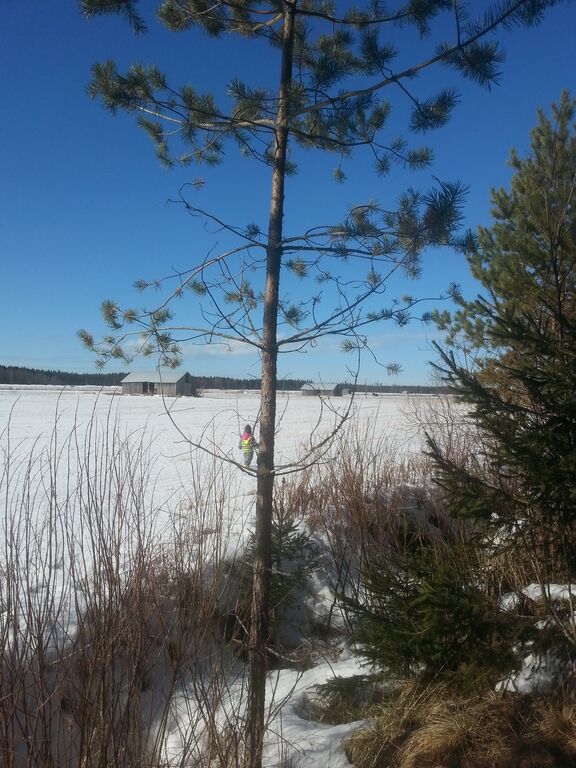 Mutaojan valuma-alue (53.068)-Kokonharju-ObsIMG-201703250818-59.jpg