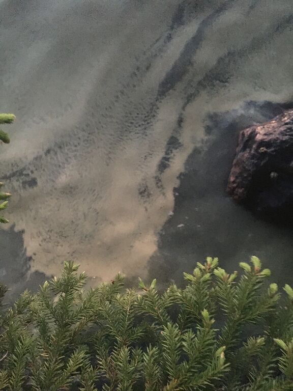 Näsijärvi (yhd.)-Luhtaanranta 1-ObsIMG-202006110137-7.jpg