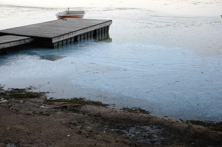 Sinileva 22.7.2014 1.jpg