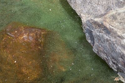 2012-06-23 12-00-27-2.jpg