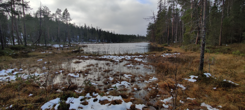 Tiedosto:Ei nimeä (73.021.1.012)-Pähkänänlampi-ObsIMG-202310171444-652e73932c903.png