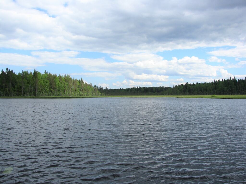 Kursunjärvi.JPG