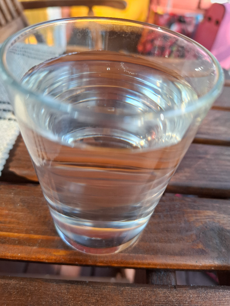 Haukivesi (Saimaa) (04.211.1.001)-Voisalmi-ObsALG-202507161833-6877c6ddb2907.png